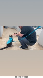 Kierland Animal Clinic - Krista Gibson - open house