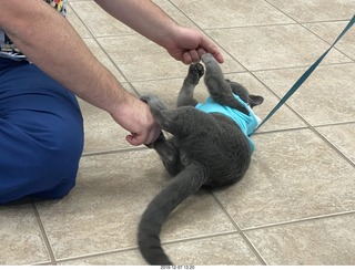 Kierland Animal Clinic - Krista Gibson - open house