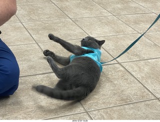 Kierland Animal Clinic - Krista Gibson - open house