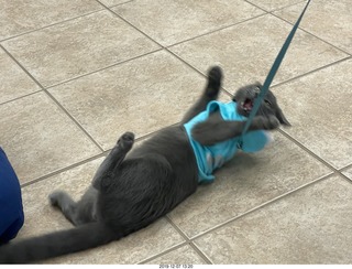 Kierland Animal Clinic - Krista Gibson - open house