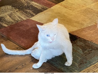 decals and patches at Flagstaff (FLG)