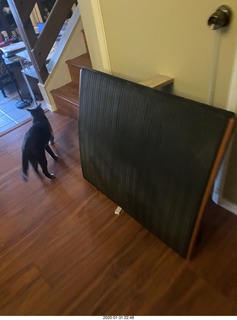 computer console with Quad ESLs and Decca Ribbons