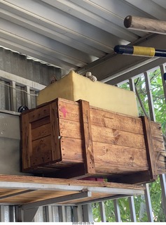 cats in lofty boxes
