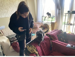 my three cats Max, Devin and Jane