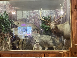 Seligman Roadkill Cafe