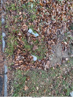 broken pottery in the yard