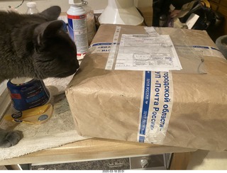 my new half-track tapes