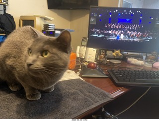 Olga Helga and my cat Devin