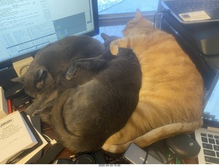 Forced Auction - Ferrari, Picassos, Peter Max