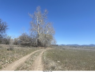 Double Circle airstrip run