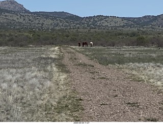 Double Circle airstrip runway