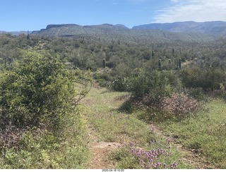 Red Creek airstrip run