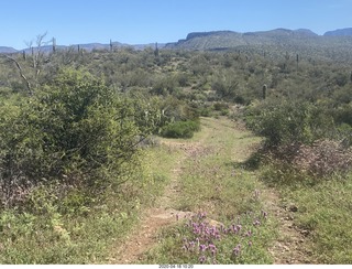 Red Creek airstrip run