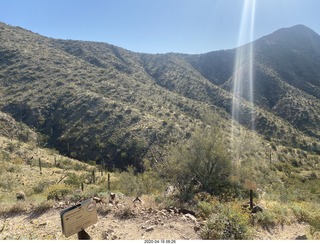 Lost Dog Wash hike