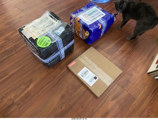 boxes of new tapes and a record and a cat