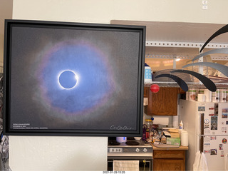 cats sleeping with Max head upside down