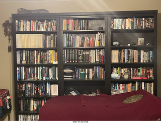 cat Potato licking my hand