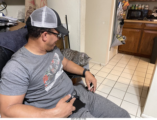 cat Potato on my desk