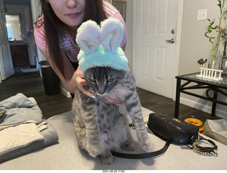 Potato with rabbit-ears cap