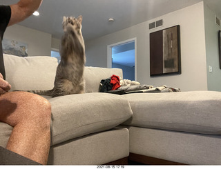 Adam and Potato