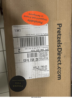 Art Museum in Philadelphia - prayin mantis