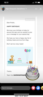 cat Potato birthday message