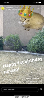 Happy Half Birthday Visionworks ad