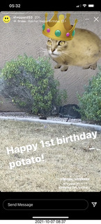 Mike Meyer 80th birthday party invitation