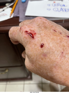 first day with visiting cat Potato