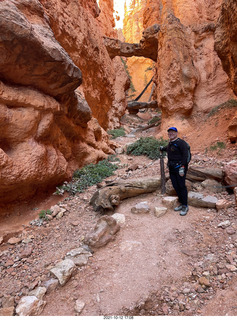 Grand Canyon North Rim - Widforss Trail - vista view - Adam