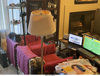 new box with Eagle 2 amplifier with cats Jane, Devin, Potato, and Max