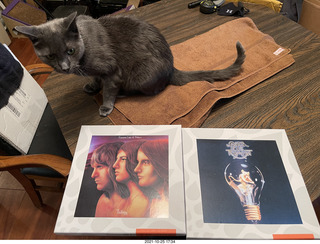 tapes from Oleg in Russia + my cat Devin