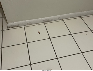 my ADS-B wing gadget