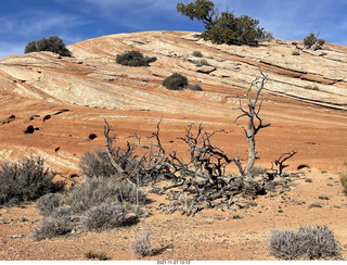 76 a19. Utah - Canyonlands National Park - Lathrop hike