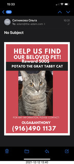 cat Potato rescue poster