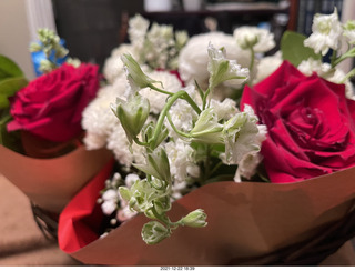 my birthday bouquet - my cat Max