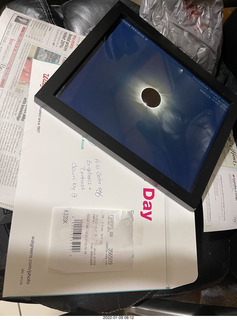 cat Potato and kitten Pickle