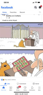 compact cassette carrying suitecase tote