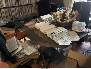 kitten Pickle and cat Potato together