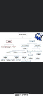 plant and star chart for eclipse