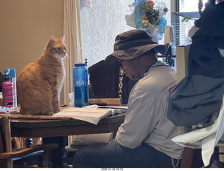 1102 a1b. my cat Max with Jerome studying