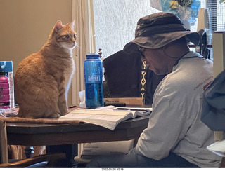 1104 a1b. my cat Max with Jerome studying