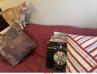 1107 a1b. my cat Max investigating Alanna's old records