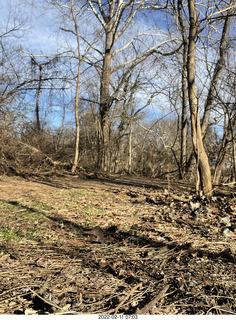 Philadelphia/Cheltenham run - Tookany Creek Parkway