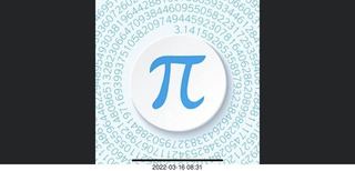 Pinnacle Peak - cactus in pot