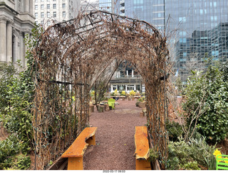 Philadelphia City Hall park - bird