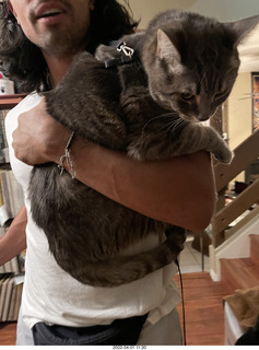 A+O house - 7027 43 Place + Anthony, Olga, cat Potato, kitten Pickle