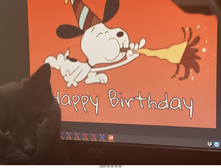 kitten Pickle, Anthony birthday