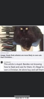 cats Potato and Pickle