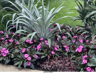 Longwood Gardens